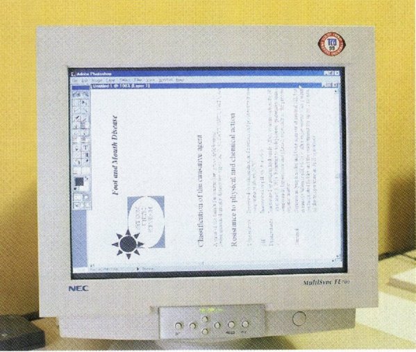  DESPACHO PANTALLA ORDENADOR (12)
